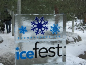 Ice Fest 2009 - Toronto